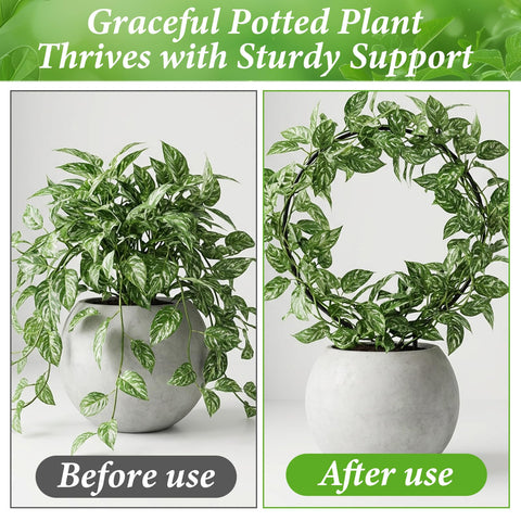Matwsec garden round trellis blends with décor while supporting plants.