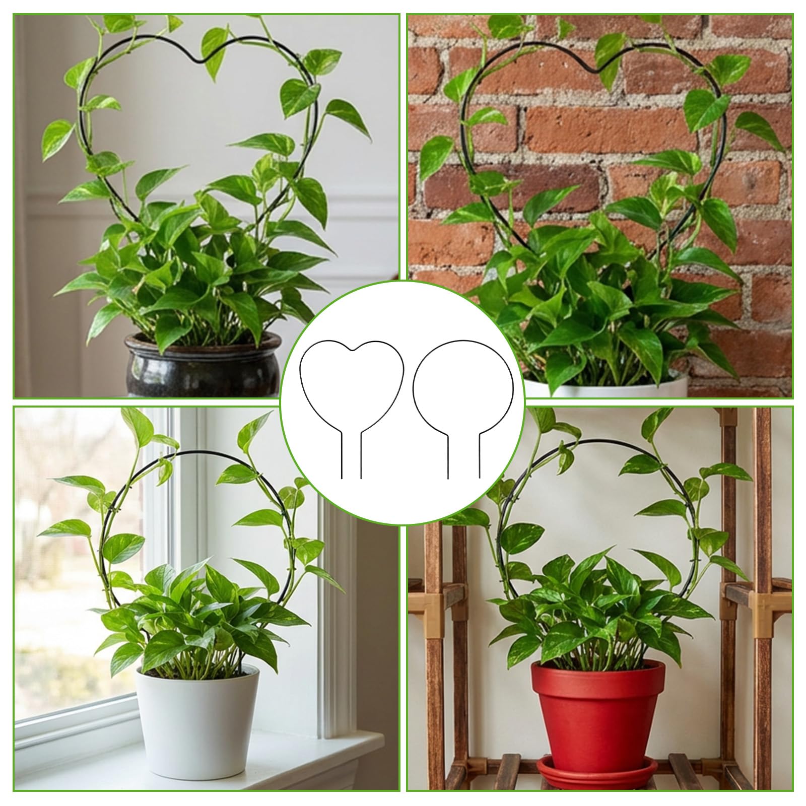 Matwsec ivy trellis supports climbing vines with easy installation.