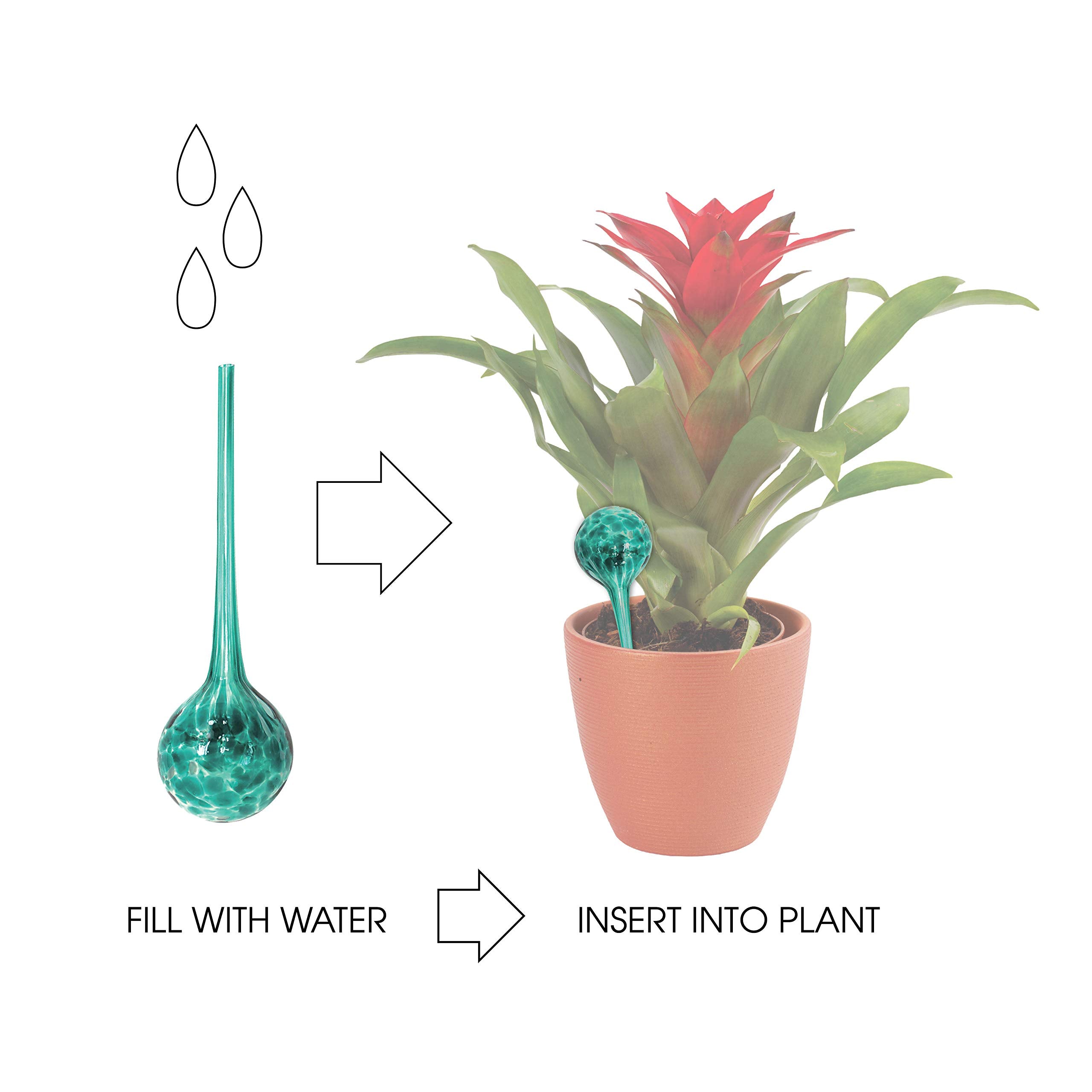 Maxam Wyndham House globes measure 12 inches long for steady root irrigation.