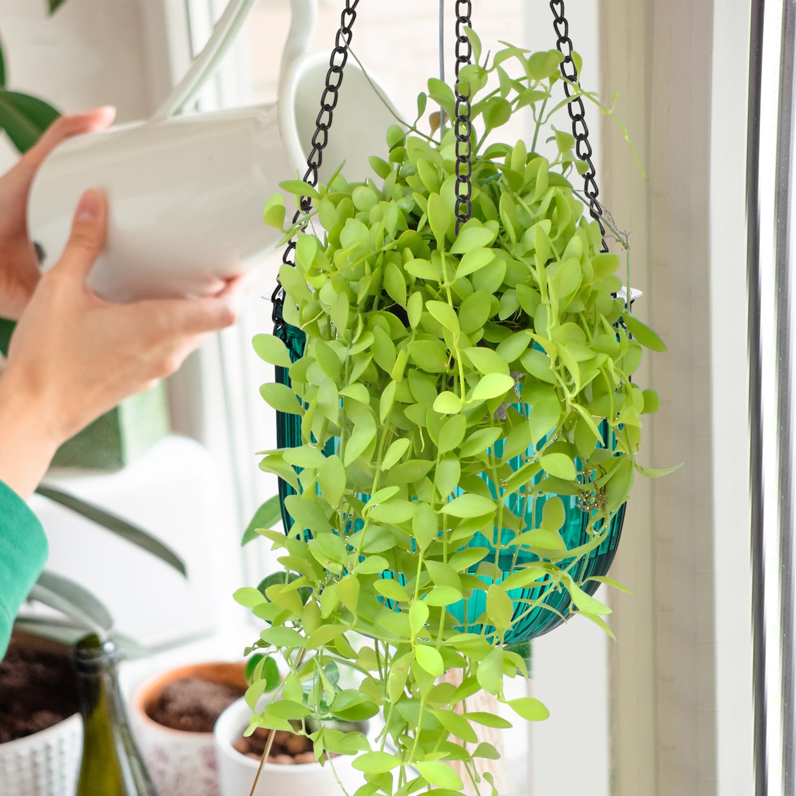 Maxcheck durable PET pots with metal chains for lasting use.