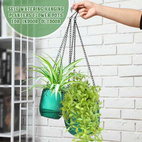 Maxcheck self-watering hanger shows transparent water level for easy care.