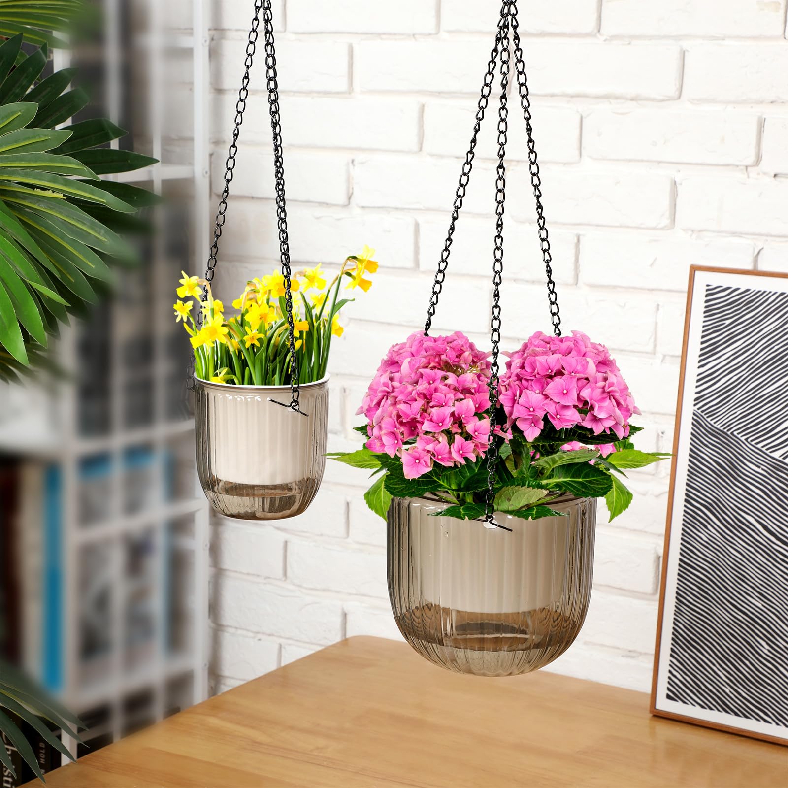 Maxcheck self-watering hanging pot 4.5-inch clear for quick water checks.