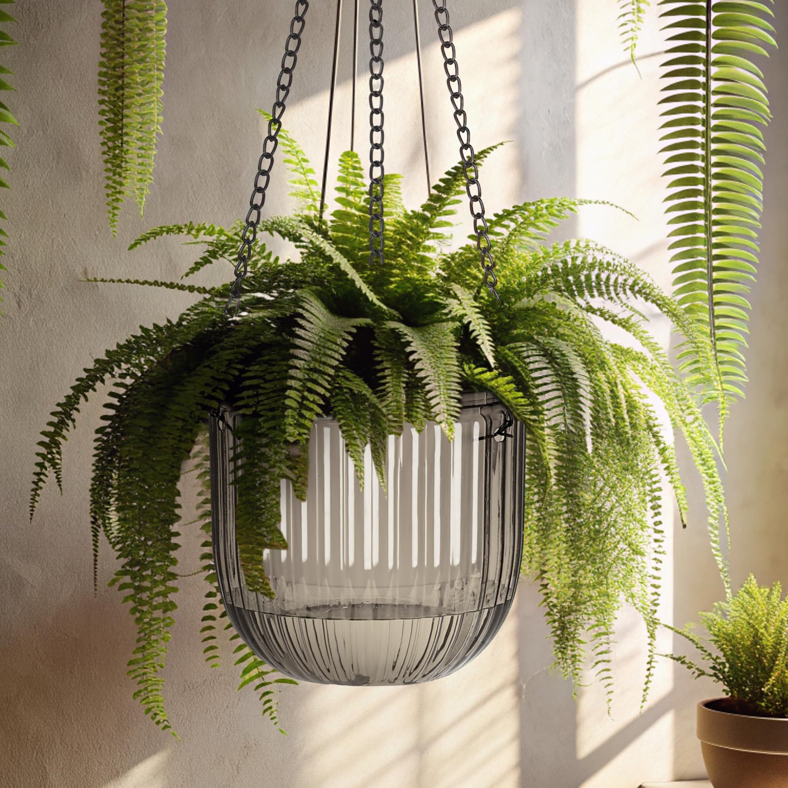 Maxcheck transparent water-level design on hanging pot for monitoring irrigation.