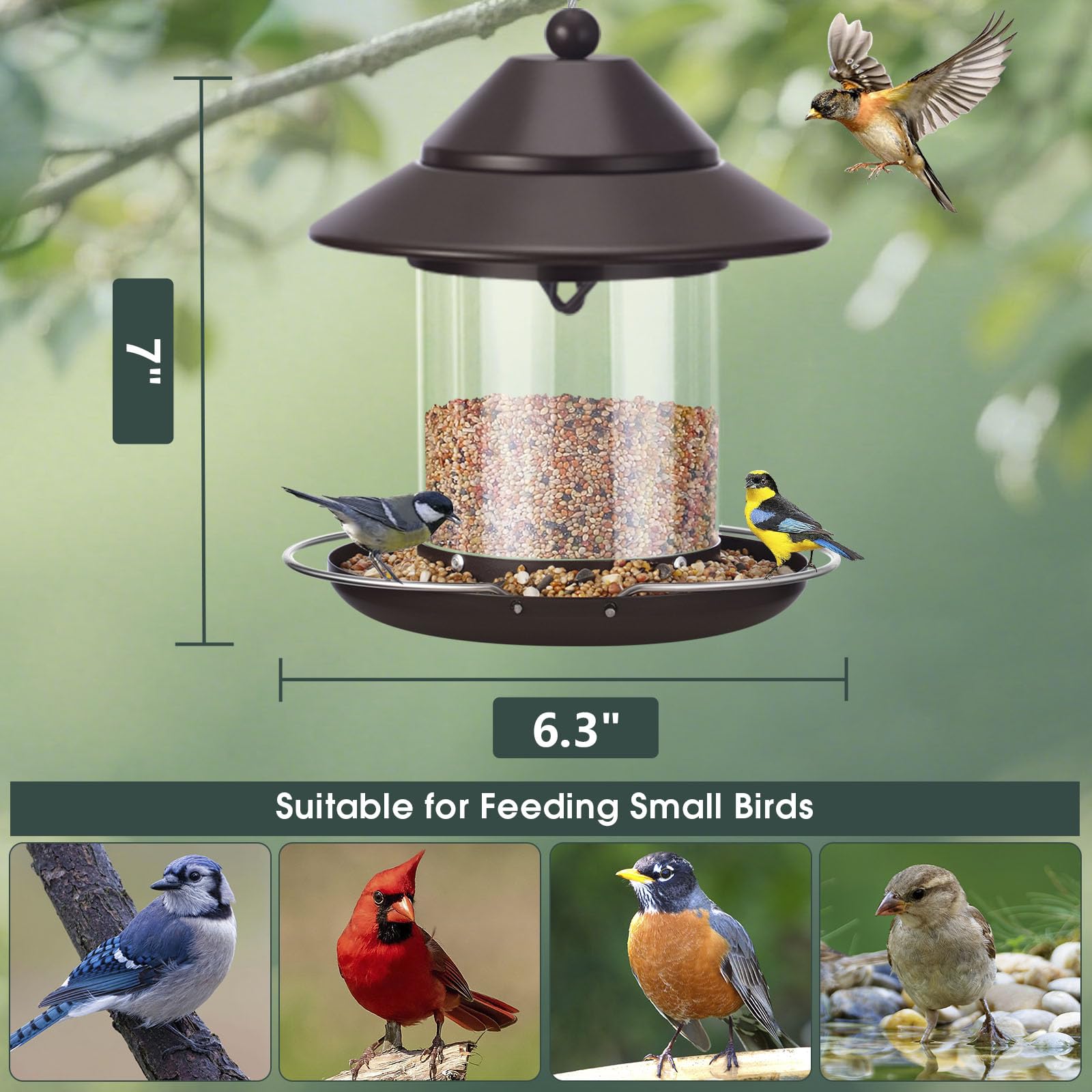 MAXDORIA 360-degree perch design welcomes multiple birds to feed at once