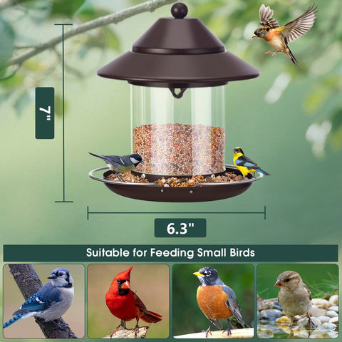 MAXDORIA 360-degree perch design welcomes multiple birds to feed at once