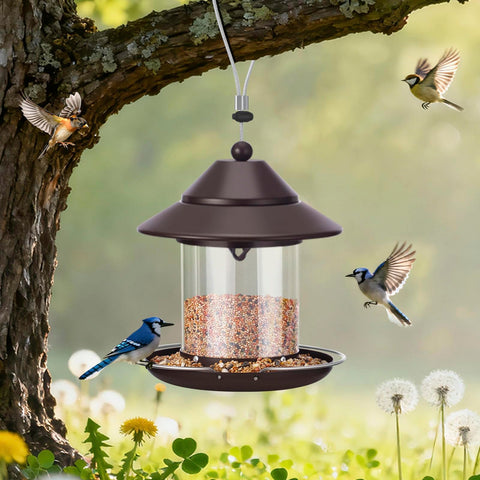 MAXDORIA ideal for cardinals and hummingbirds in your garden