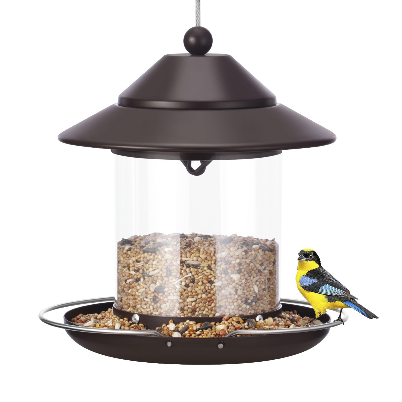 MAXDORIA chewproof metal bird feeder protects seeds from squirrels and weather