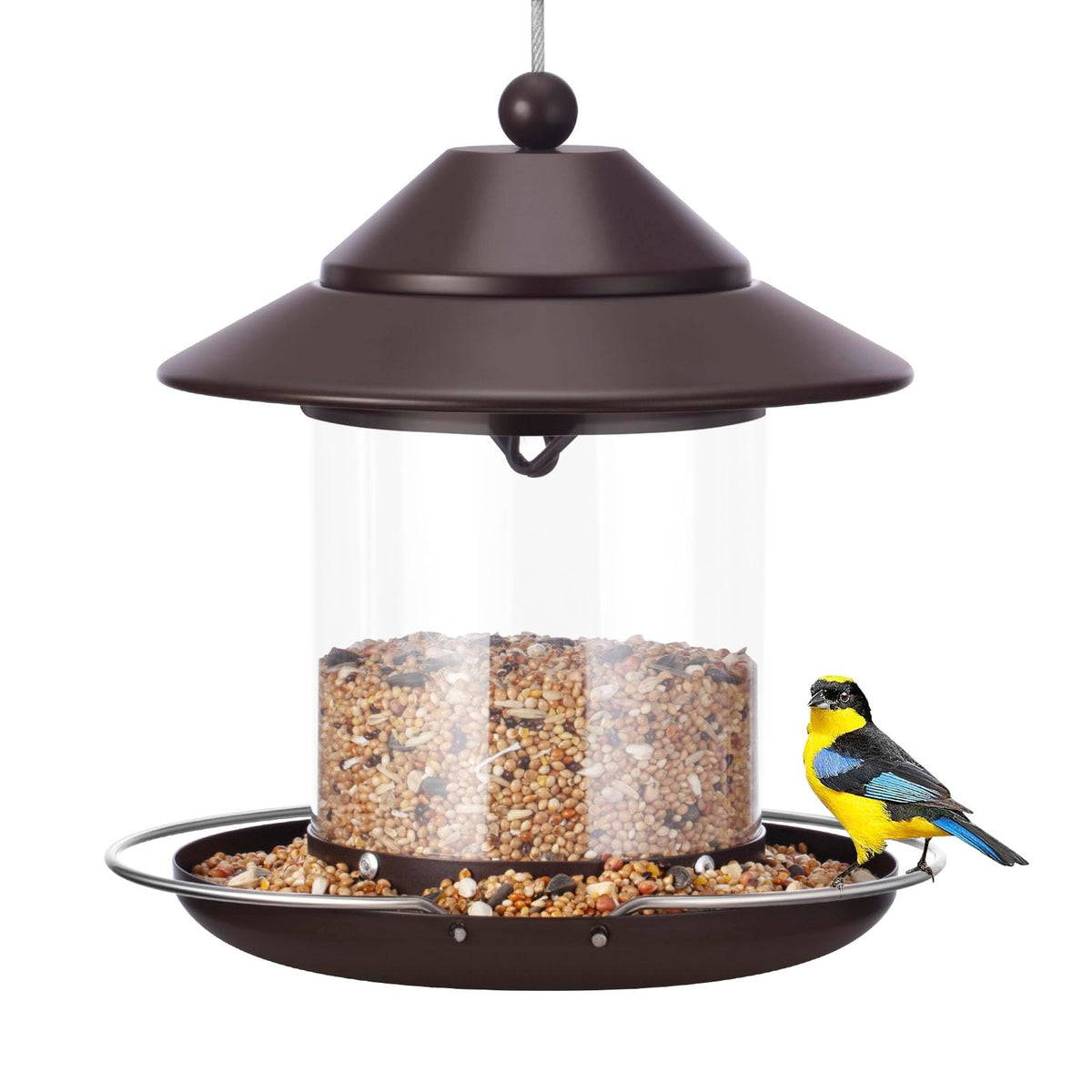 MAXDORIA chewproof metal bird feeder protects seeds from squirrels and weather