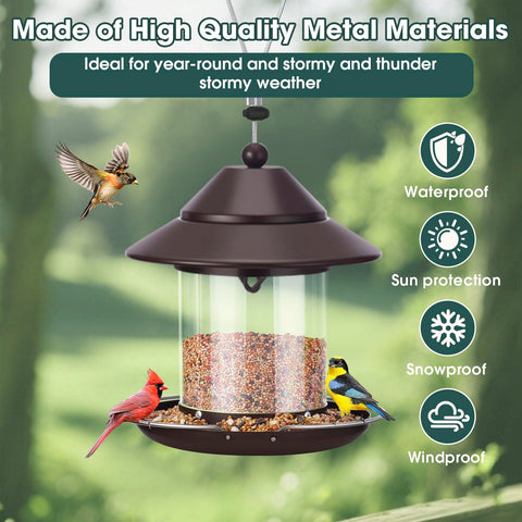 MAXDORIA easy-refill-clean feeder disassembles quickly for maintenance