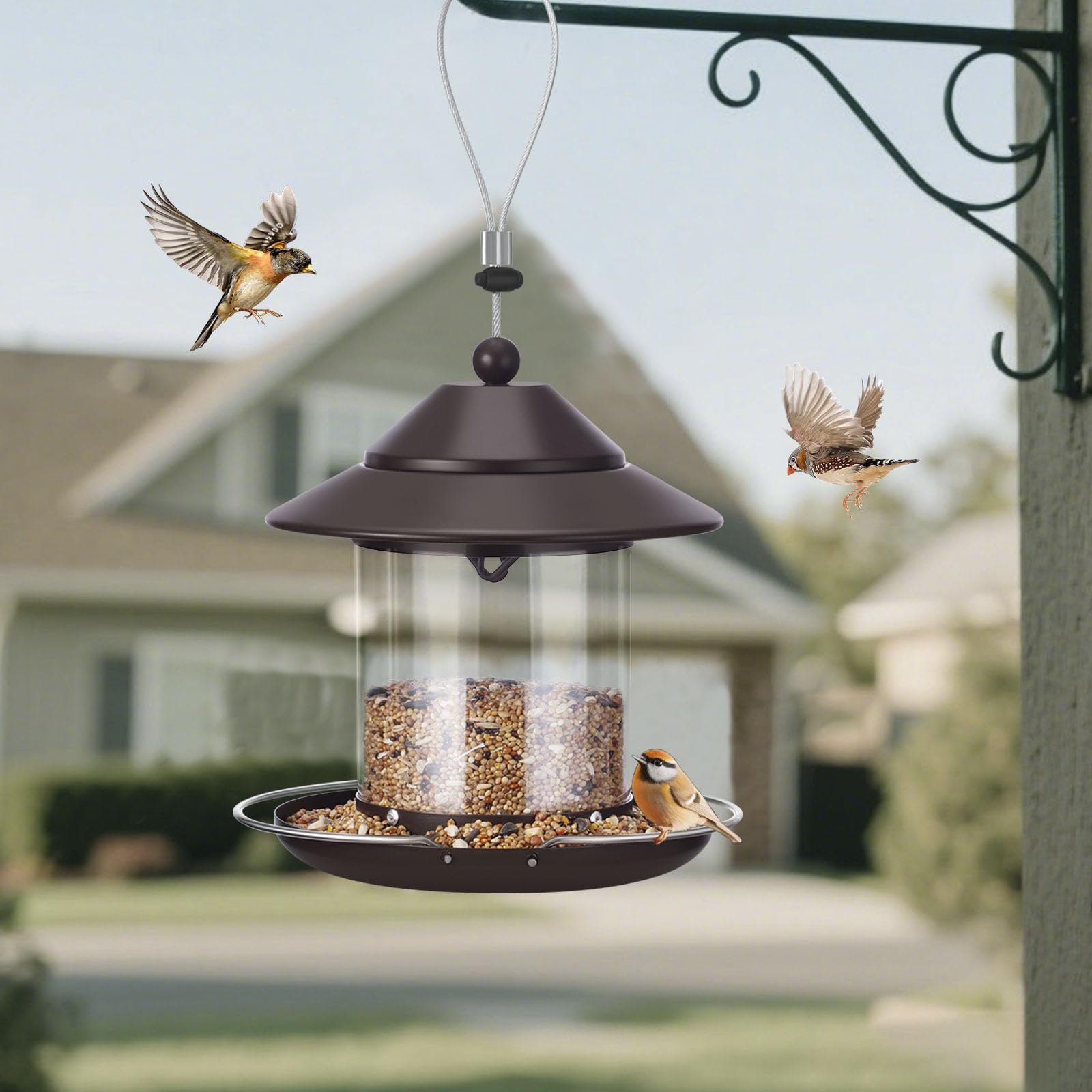 MAXDORIA garden feeder adds backyard charm and year-round birdwatching