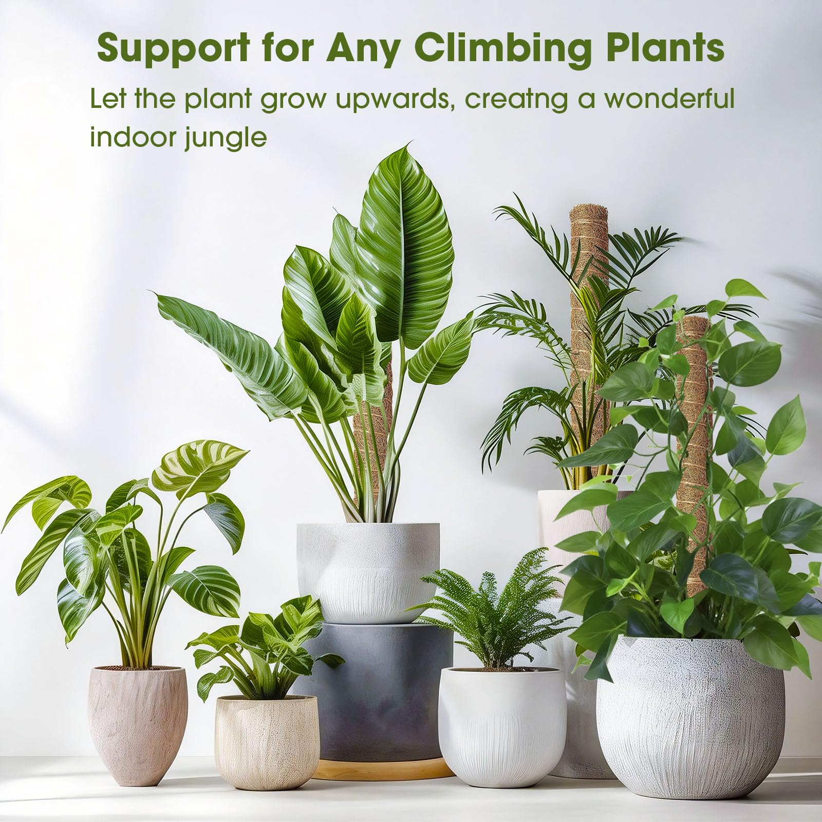 MAXDORIA moss pole ideal for monstera, pothos, philodendron indoors.