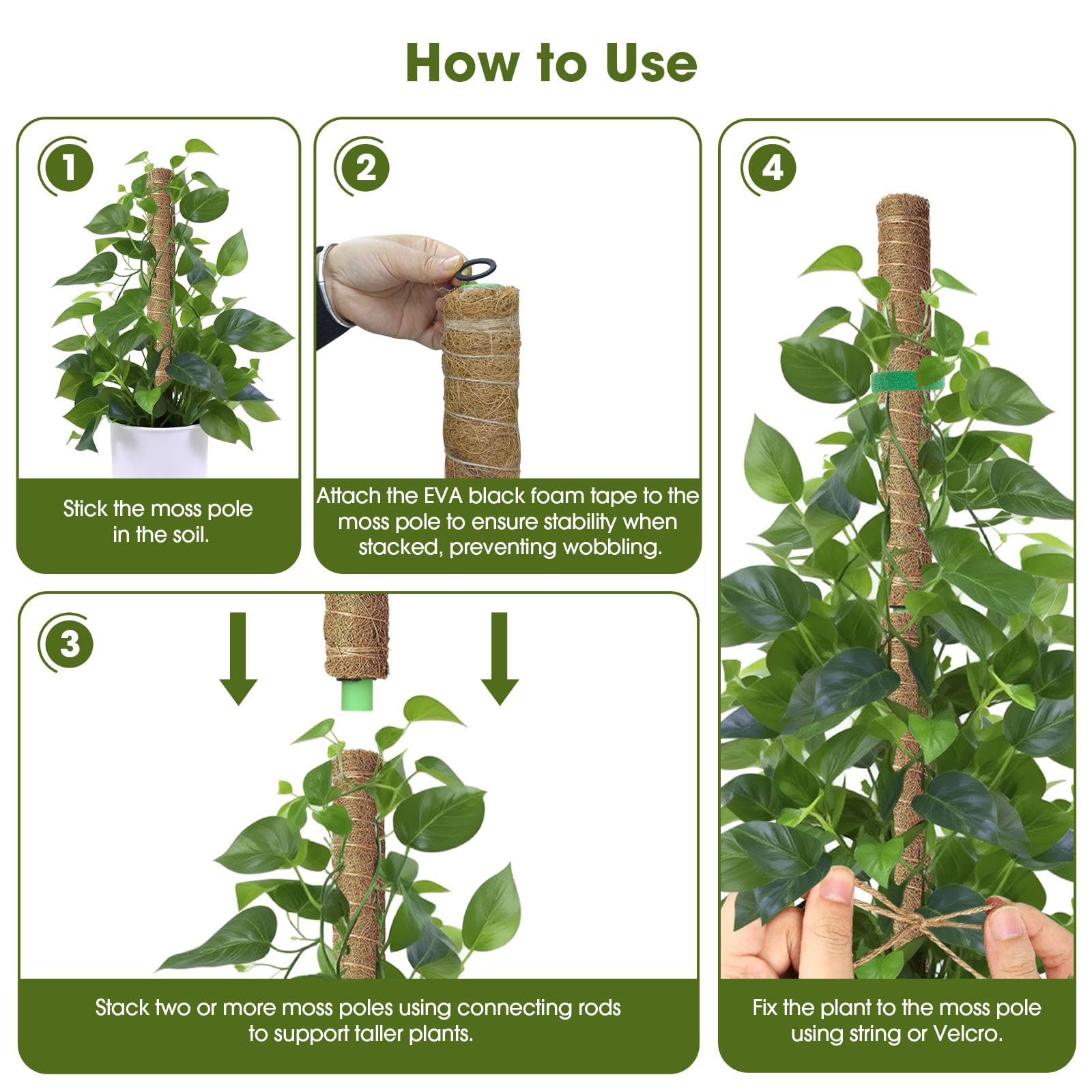 MAXDORIA compatible with velcro straps for training climbing plants.