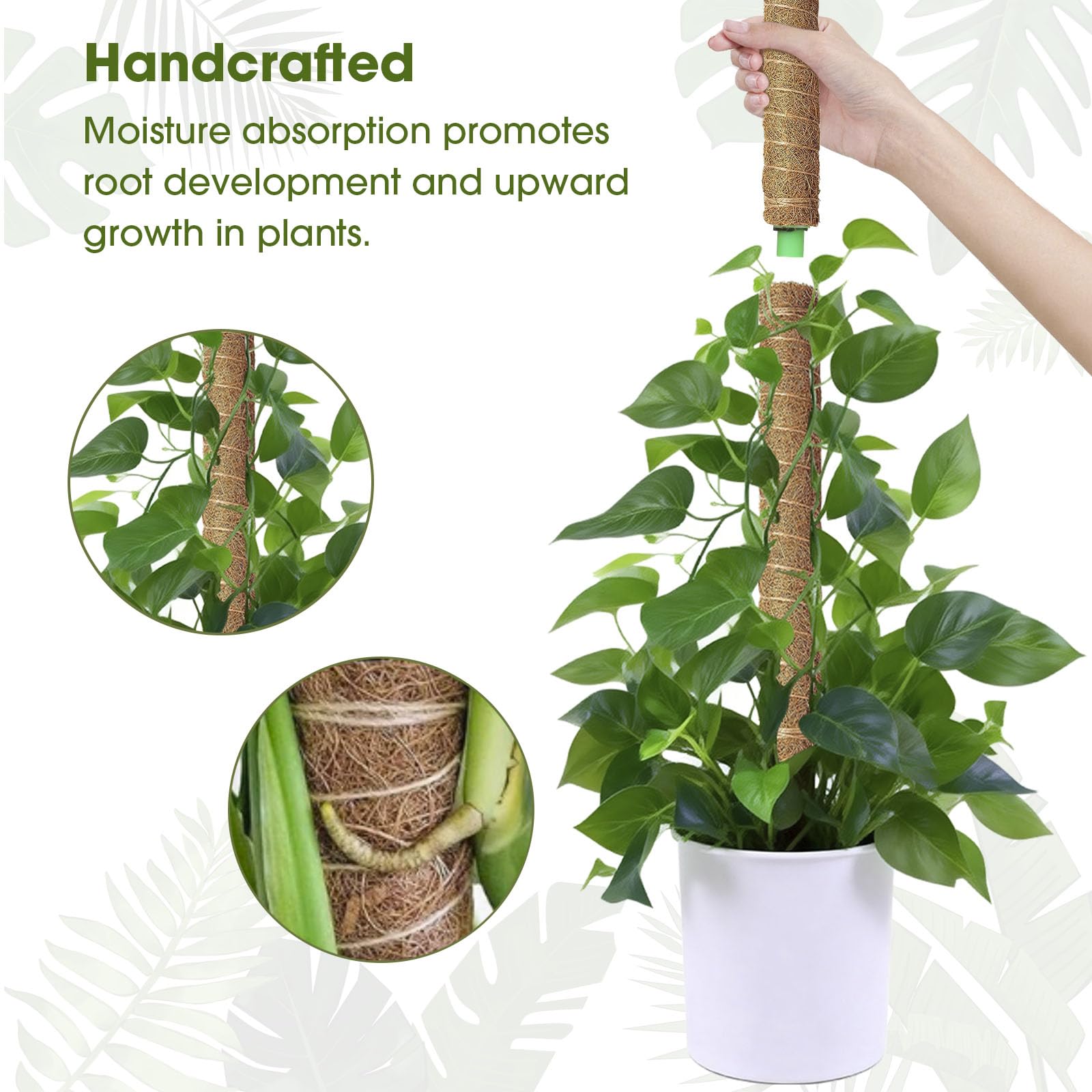 MAXDORIA moss pole uses a sharpened PVC stake for durable stability.