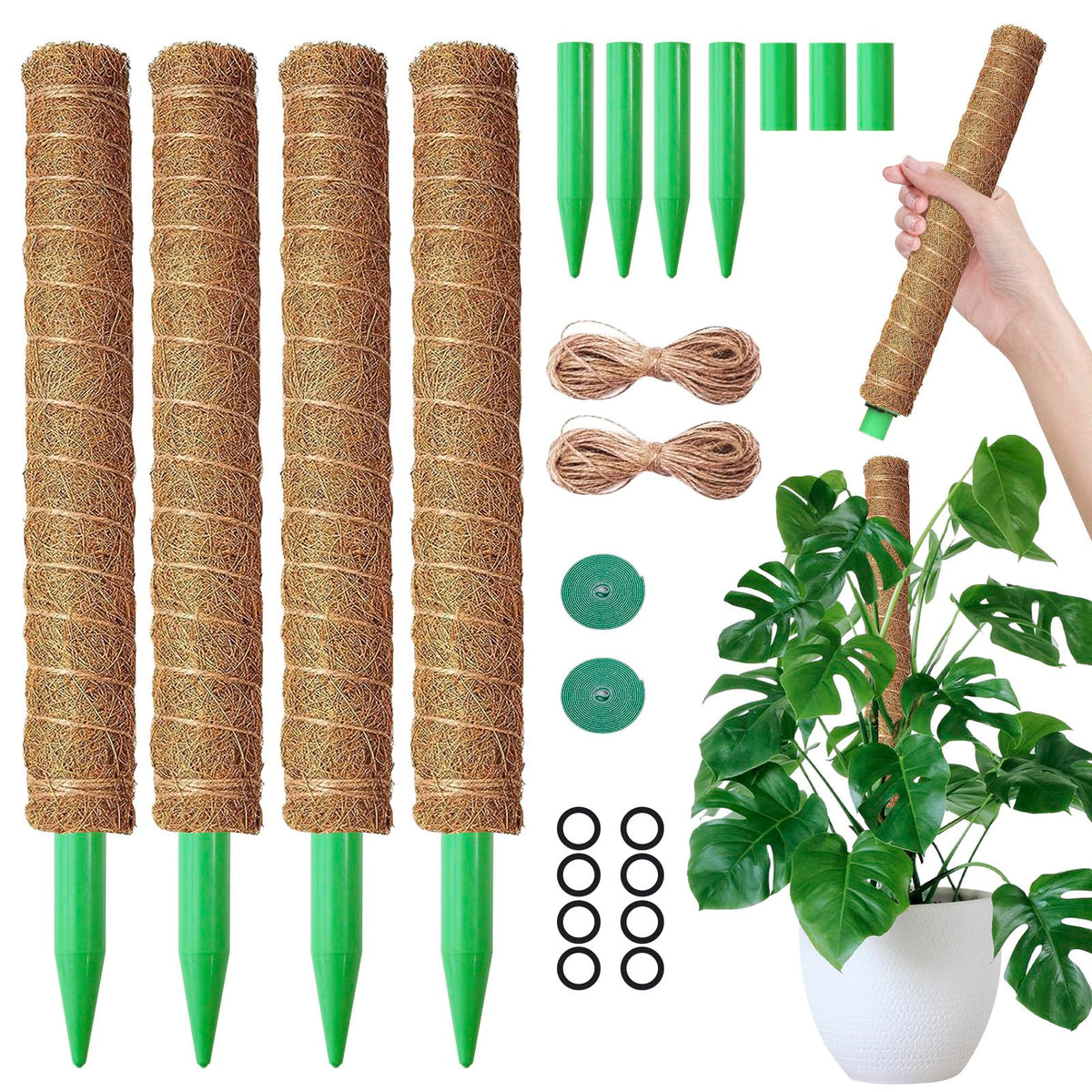 MAXDORIA moss pole stackable base for tall indoor plants offers solid support.