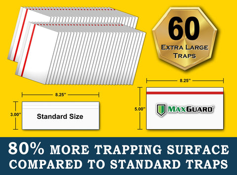 MaxGuard 60 XL traps pack demonstrating packaging and value.