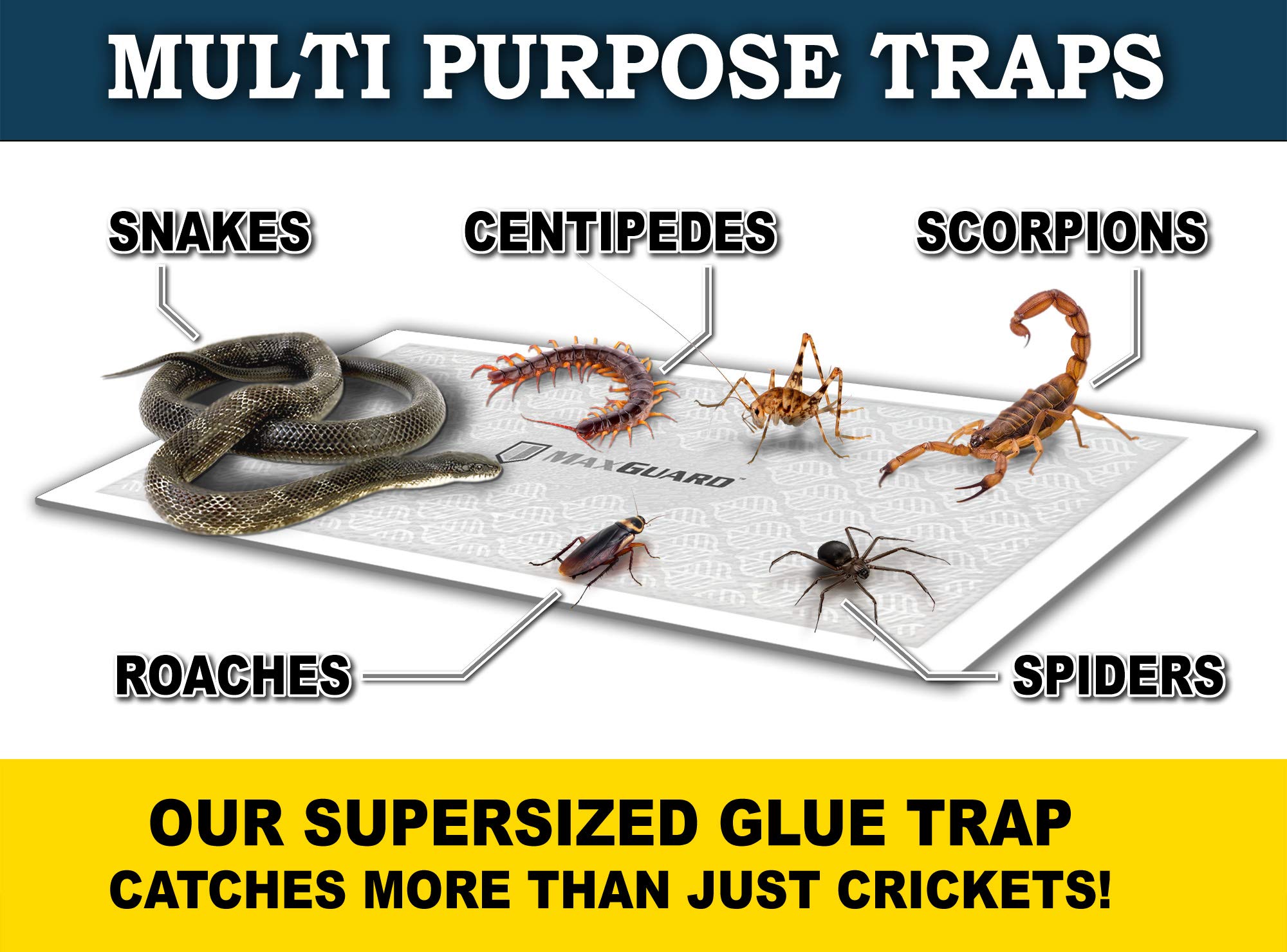 MaxGuard 6x12 inch traps deliver high coverage in rooms with crickets.