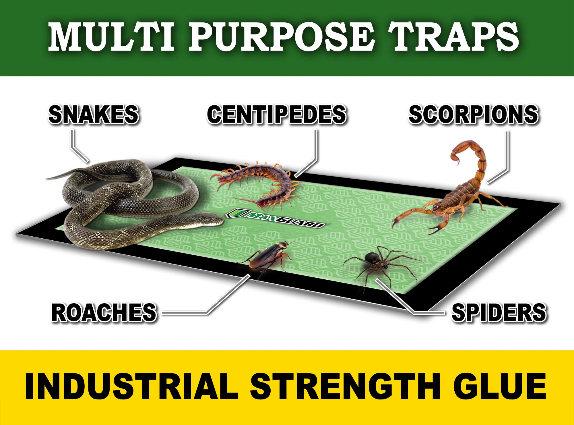 MaxGuard attractant detail shows timed-release scent for targeted trapping.