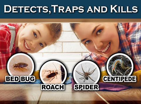 MaxGuard bed bug trap placed near bed posts shows discreet, effective placement.