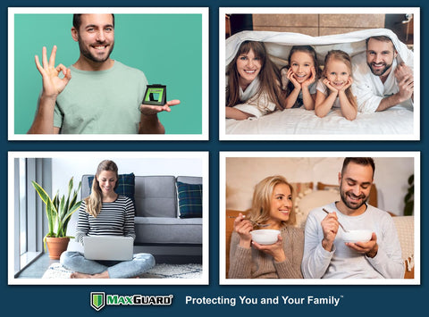 MaxGuard 24-trap box for bed bugs offers a comprehensive detection solution for apartments and homes.