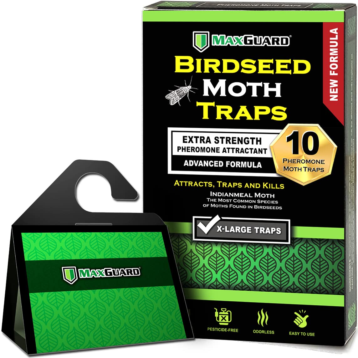 MaxGuard Birdseed Moth Traps in 10 XL pack front view, ready for storage area deployment