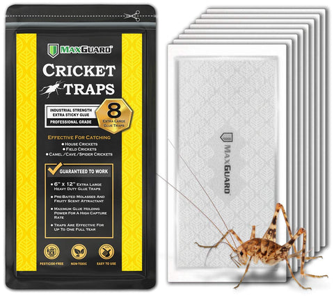 MaxGuard cricket traps eight-pack for fast room-wide protection against house crickets.