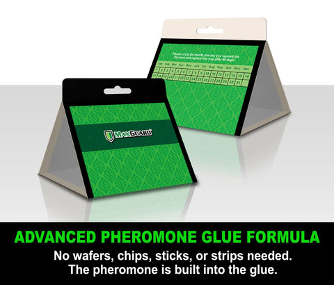 MaxGuard extra-strength pheromone trap highlights a powerful lure for kitchen moth control.