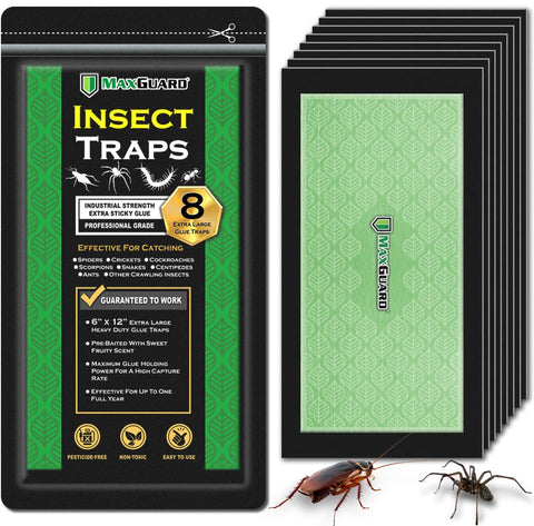 MaxGuard glue trap 8-pack in box, ready to install and reduce crawling insects.