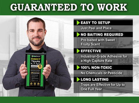 MaxGuard glue-trap adhesive surface close-up highlights strong, non-toxic capture area.