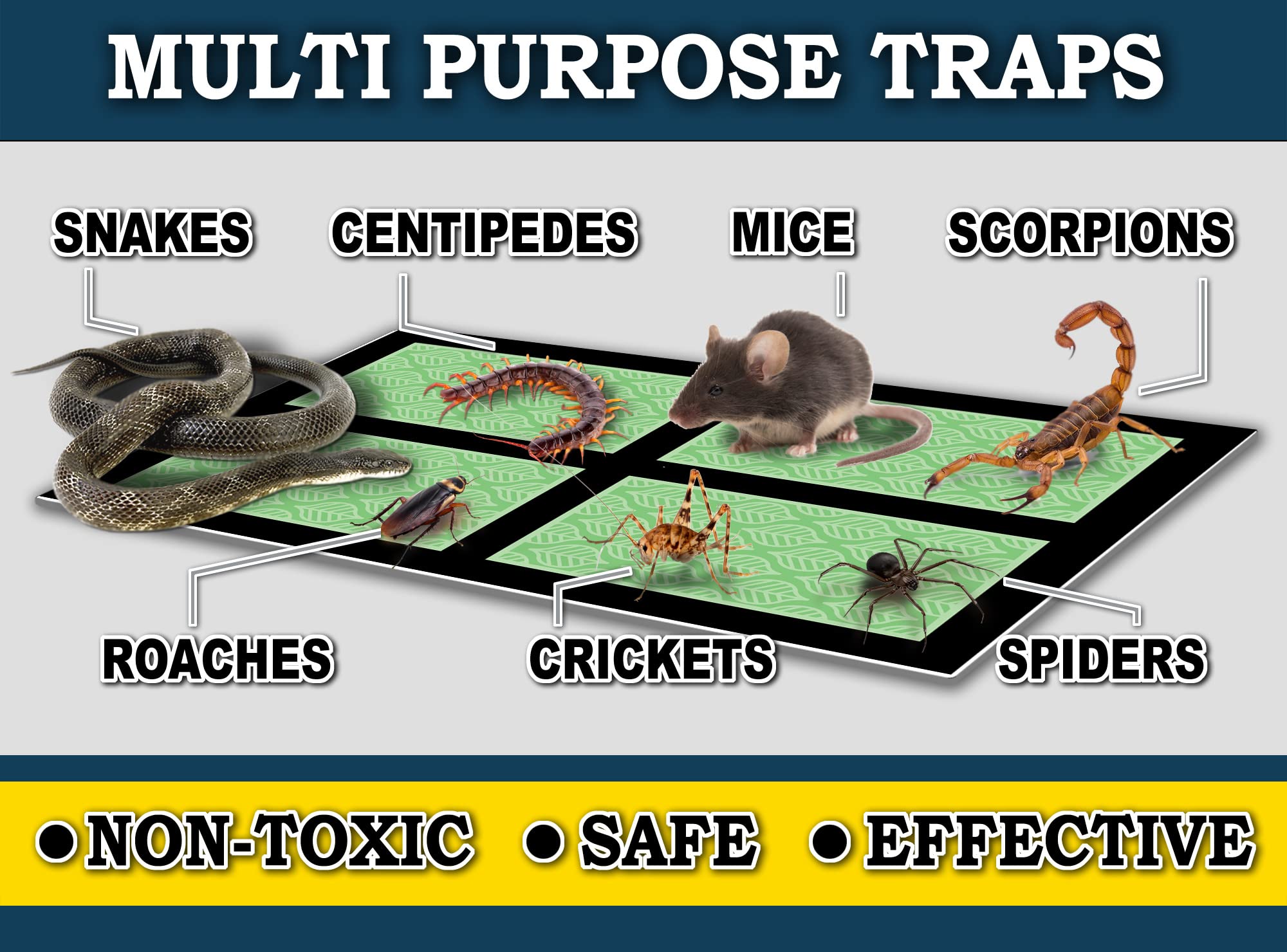 MaxGuard trap with captured pest illustrates effective non-toxic control solution.