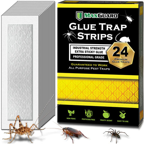 MaxGuard glue trap strip close-up shows ultra-sticky adhesive for pest capture
