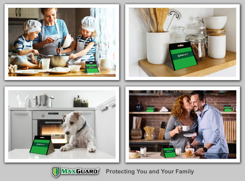 MaxGuard long-lasting potency: traps stay effective up to three months after opening.