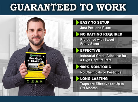 MaxGuard glue trap close-up shows industrial-strength adhesive for strong pest capture.