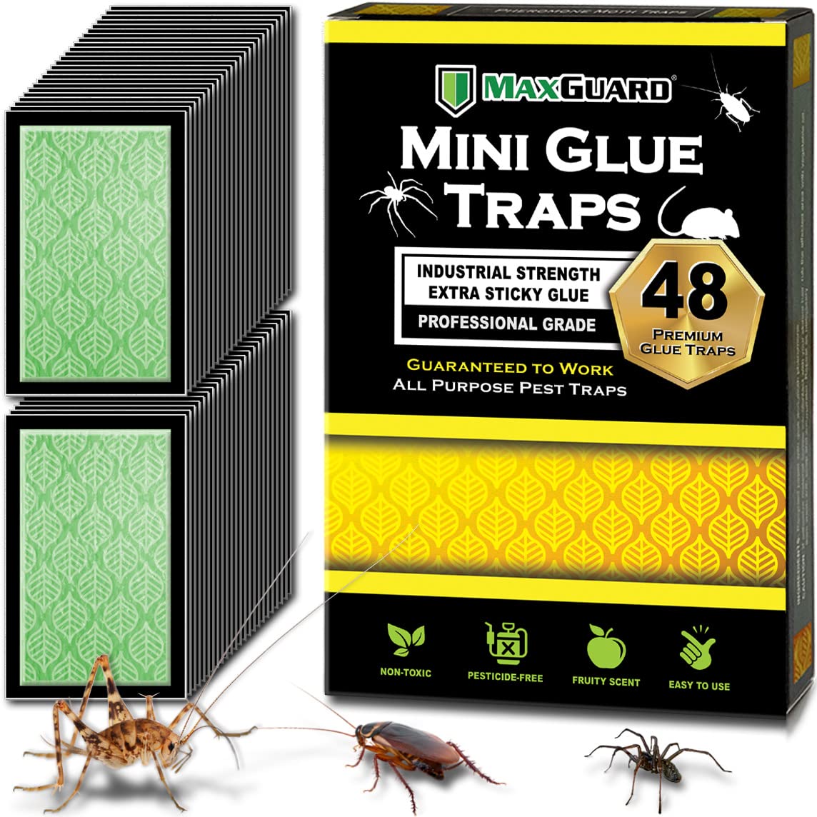 MaxGuard Mini Glue Trap with Fruity Attractant ready for placement to monitor pests.