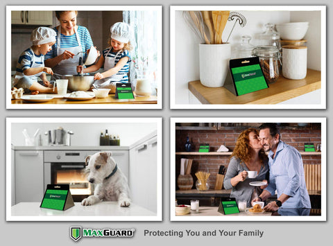 Maxguard nontoxic sticky glue closeup emphasizes safe use near foods