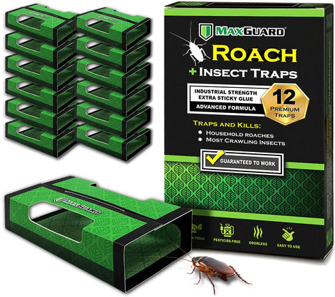 MaxGuard Roach Trap close-up with ultra-sticky adhesive for effective capture.