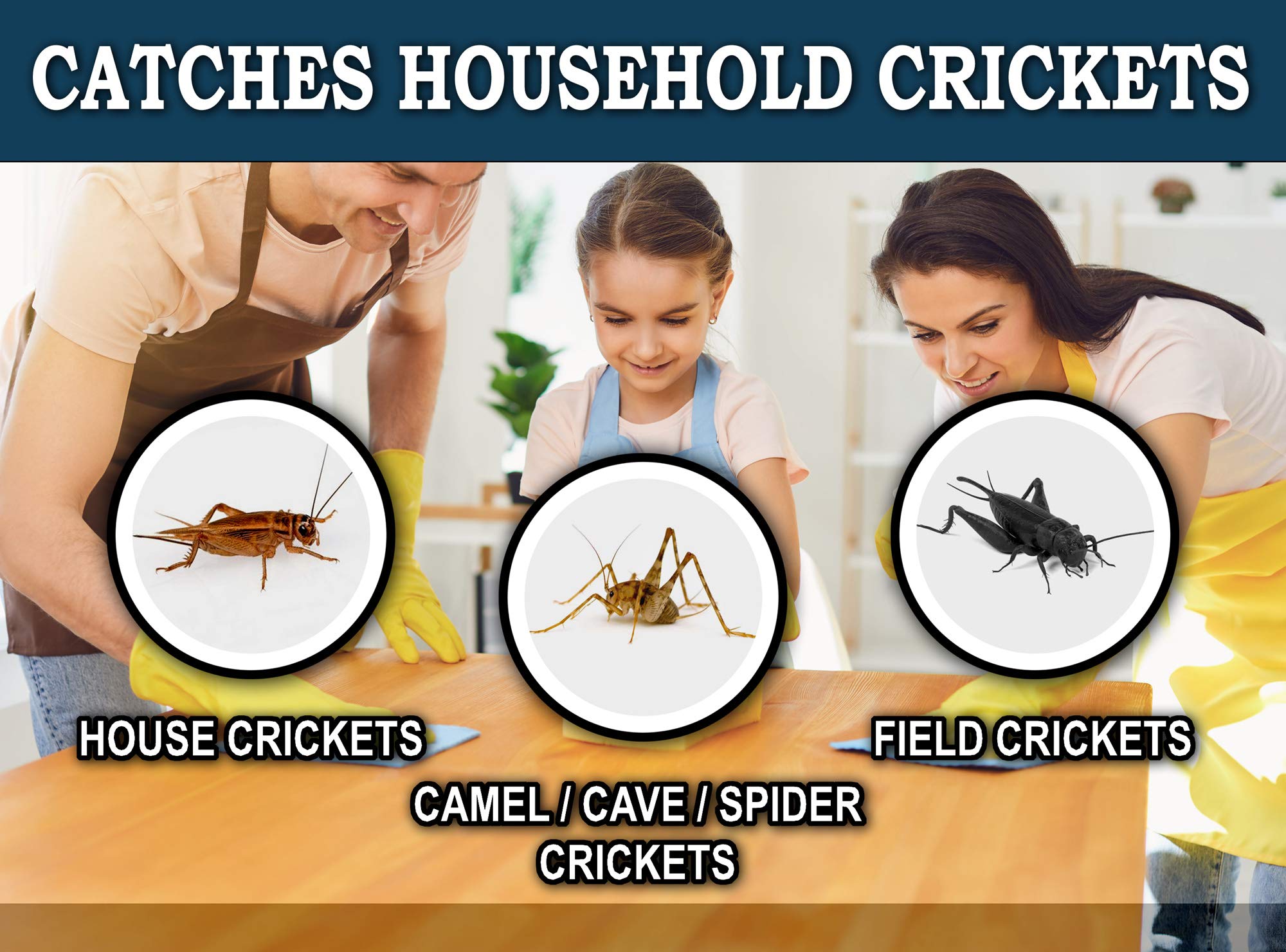 MaxGuard timed-release attractant traps lure crickets without harsh chemicals.