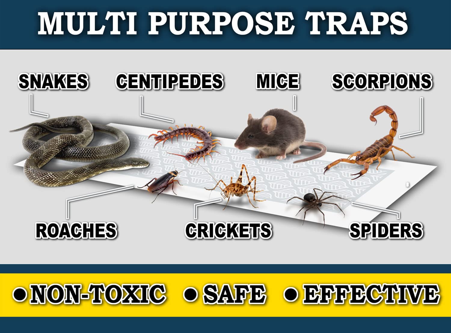 MaxGuard trap strip in kitchen scene demonstrates discreet pest management