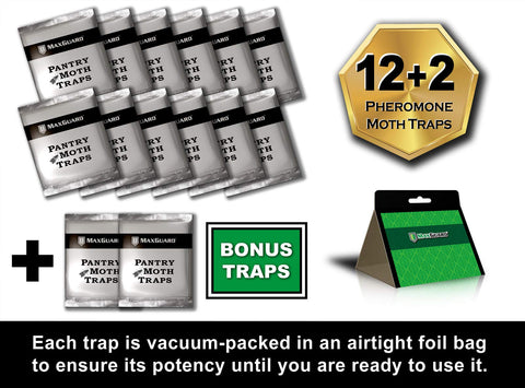 Maxguard traps in kitchen storage on a shelf for ongoing protection