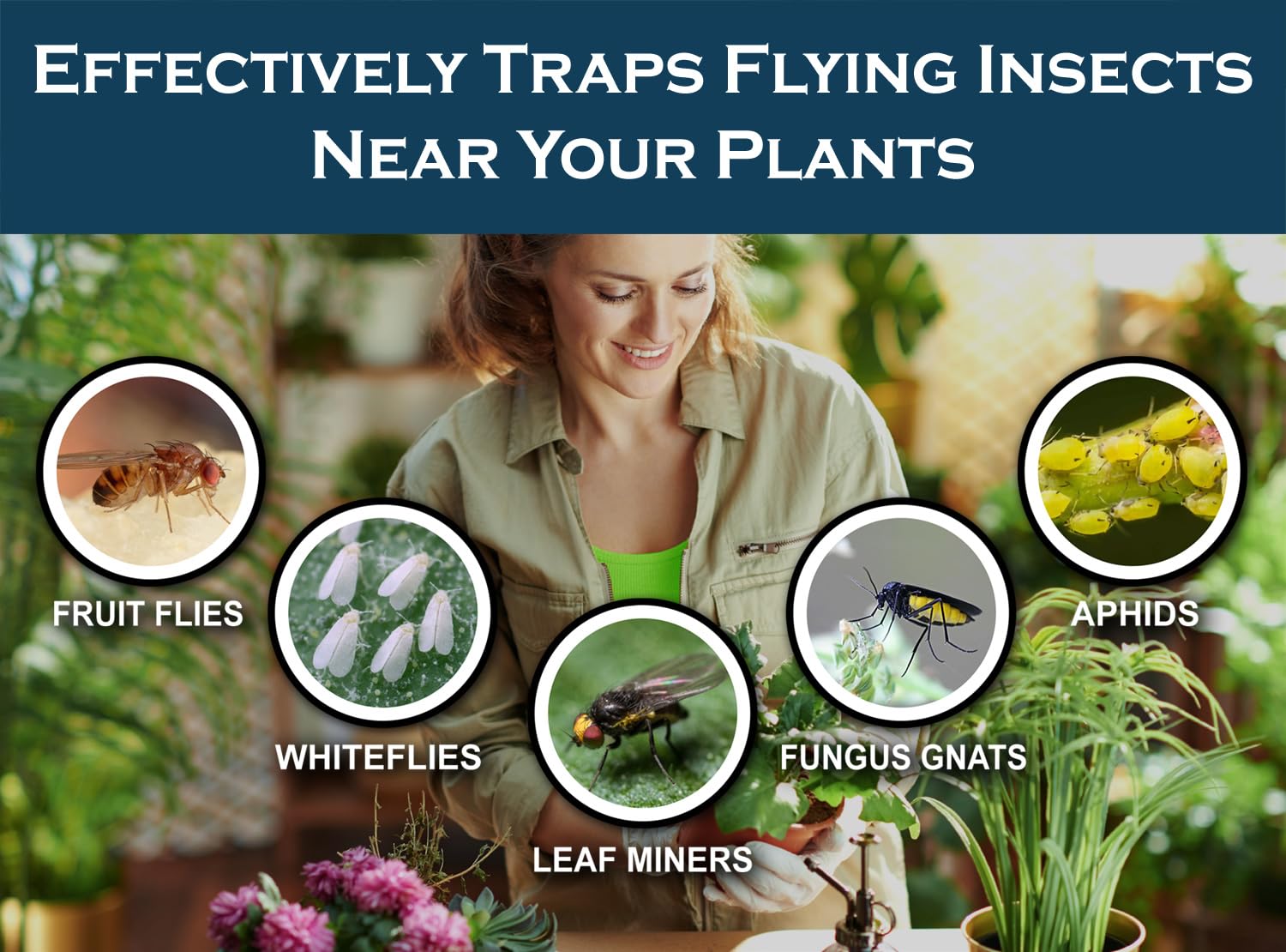 MaxGuard yellow sticky trap close-up showing industrial-grade glue for strong pest capture.
