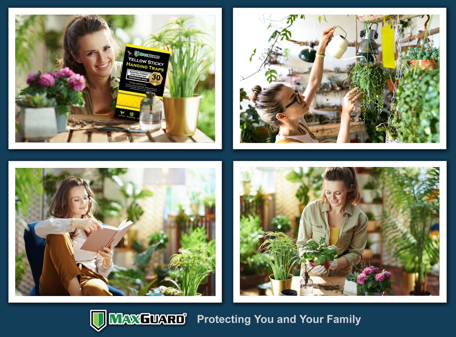 MaxGuard yellow sticky trap used outdoors on a garden plant for pest control.