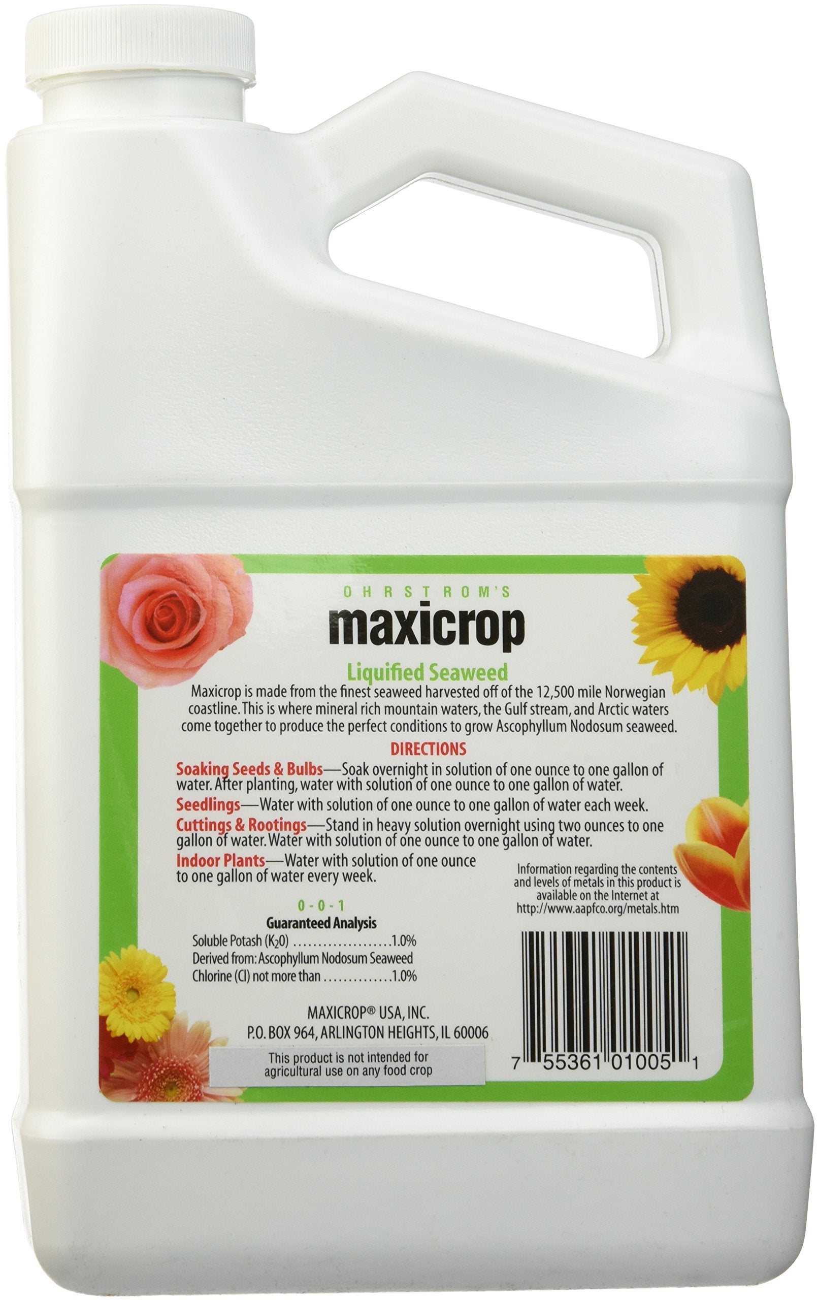 Pouring Maxicrop Liquid Seaweed to nourish soil and foliage.