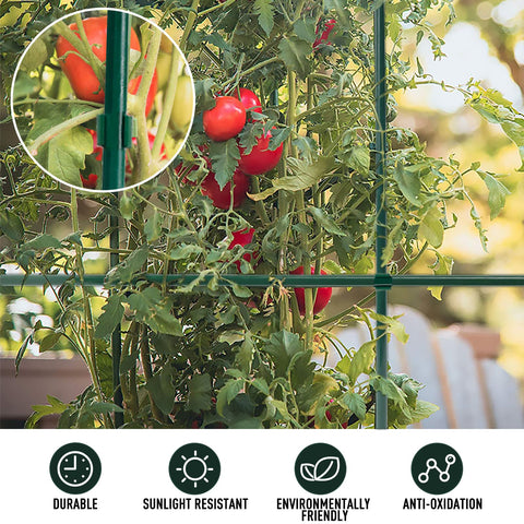MAXPACE green stakes in pack demonstrating durable rust-free performance
