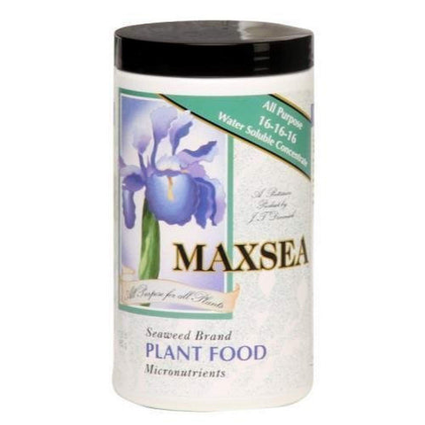 Maxsea all purpose plant food bottle shows 16-16-16 formula for year-round feeding and lush growth