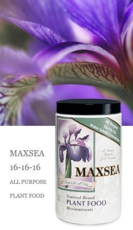 Maxsea Grow 16-16-16 bag with granules for water-soluble plant nutrition and vigorous growth.