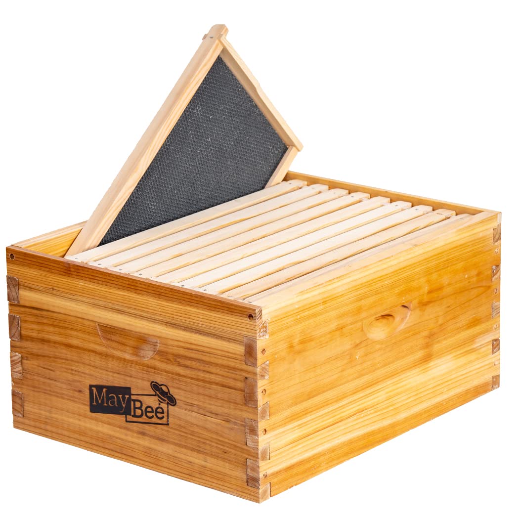 MayBee 10-frame beehive box with deep brood space.