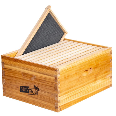 MayBee 10-frame beehive box with deep brood space.