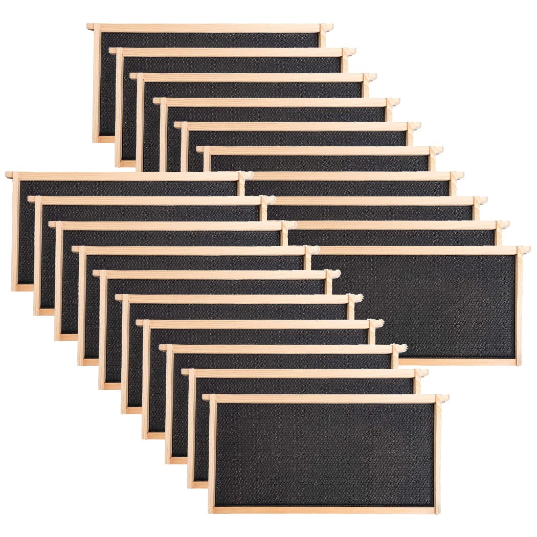 MayBee 20-pack frames with beeswax-coated foundation for efficient comb building.
