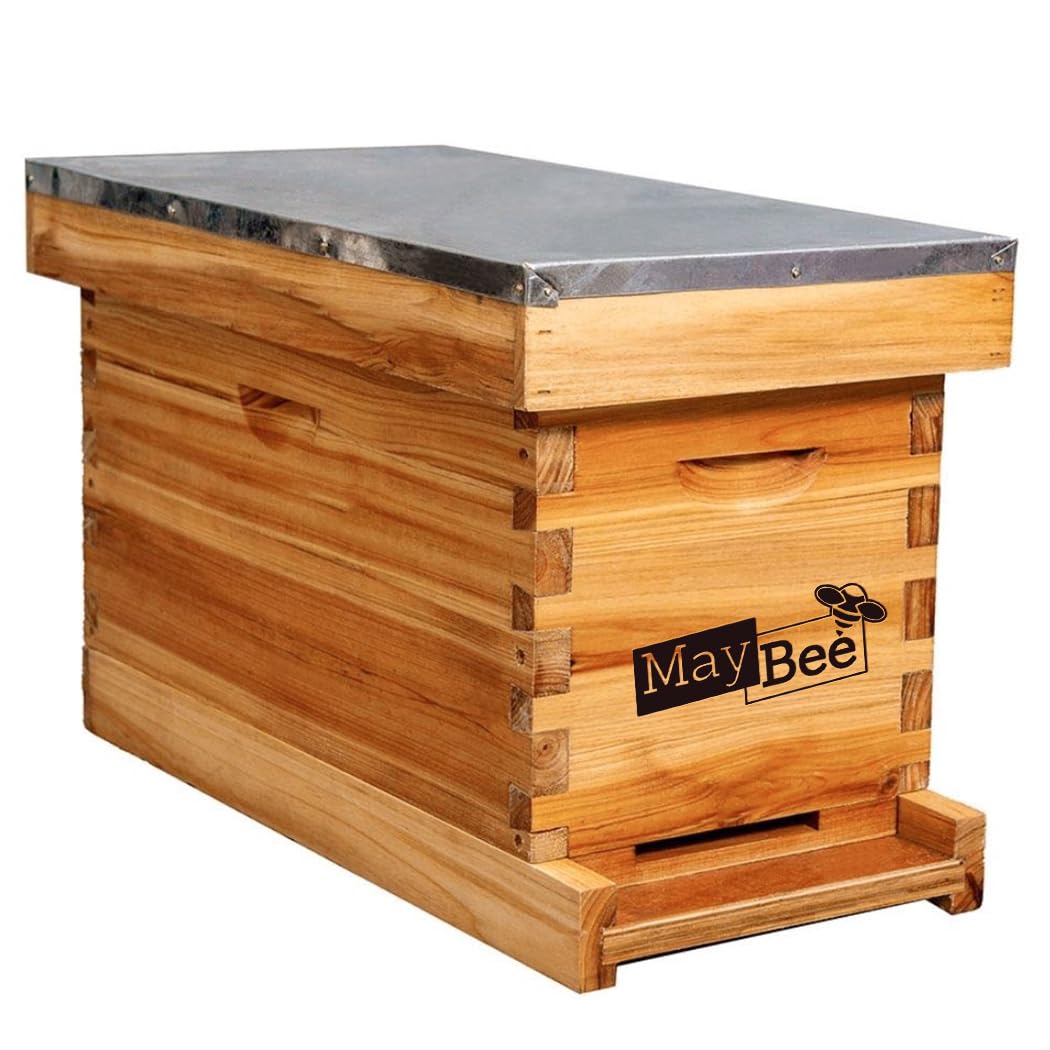MayBee 5-Frame Nuc Beehive front view, durable cedarwood housing for long-lasting use