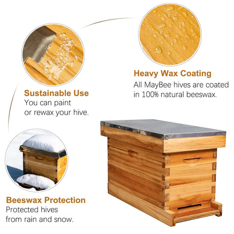 MayBee nuc beehive interior with frames ready for installation