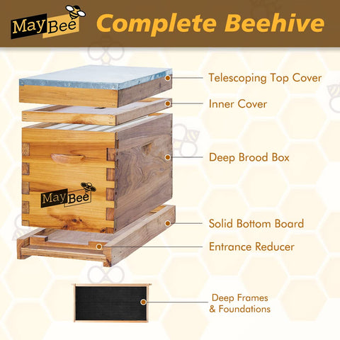 MayBee 5-Frame Nuc Beehive with metal roof top, waterproof protection for colonies
